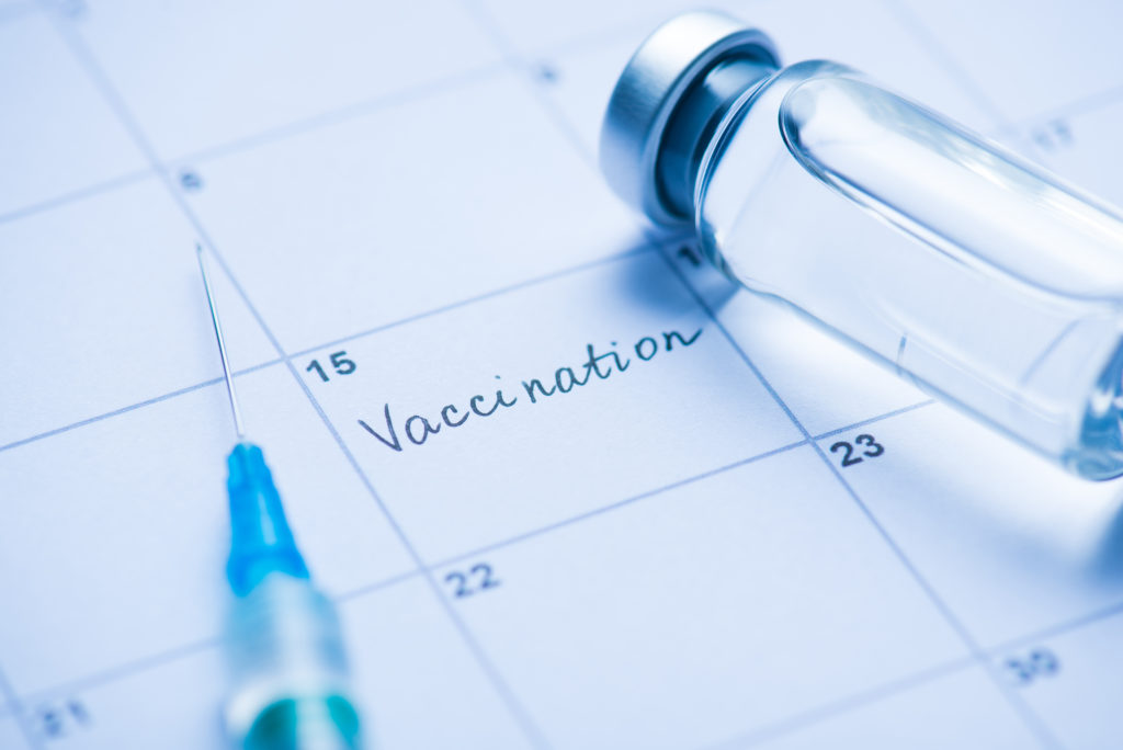 calendrier de vaccination